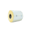 Rollo de 1000 etiquetas térmica protegido 100 x 80 mm hotmelt Bcs3000000039 min - lara andalucía