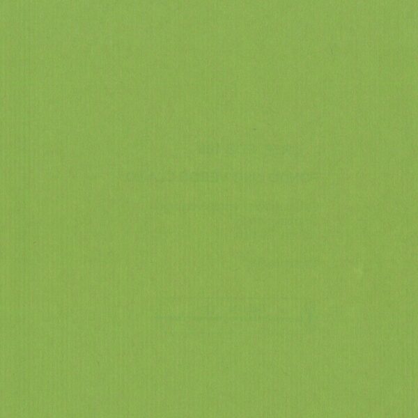 Bobina de papel de regalo fondo verde claro